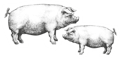 icona-benessere-animale_liberta_4